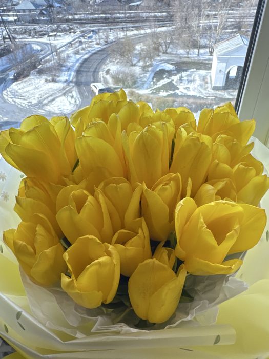 Живые Цветы, Кустовые розы