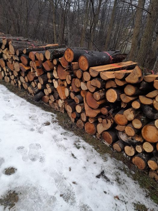 Vand lemne de foc si de lucru - fag, stejar, pin si bile de brad