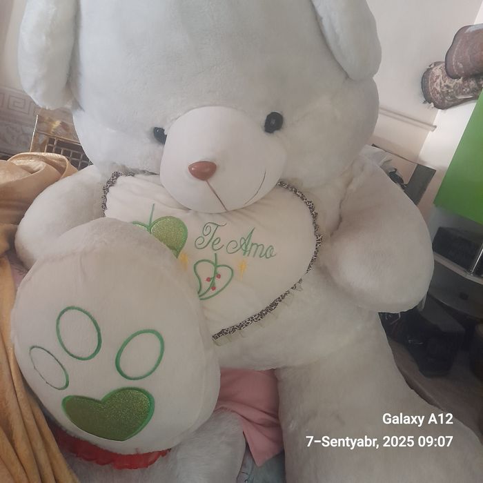 Kotta yumshoq ayiqcha