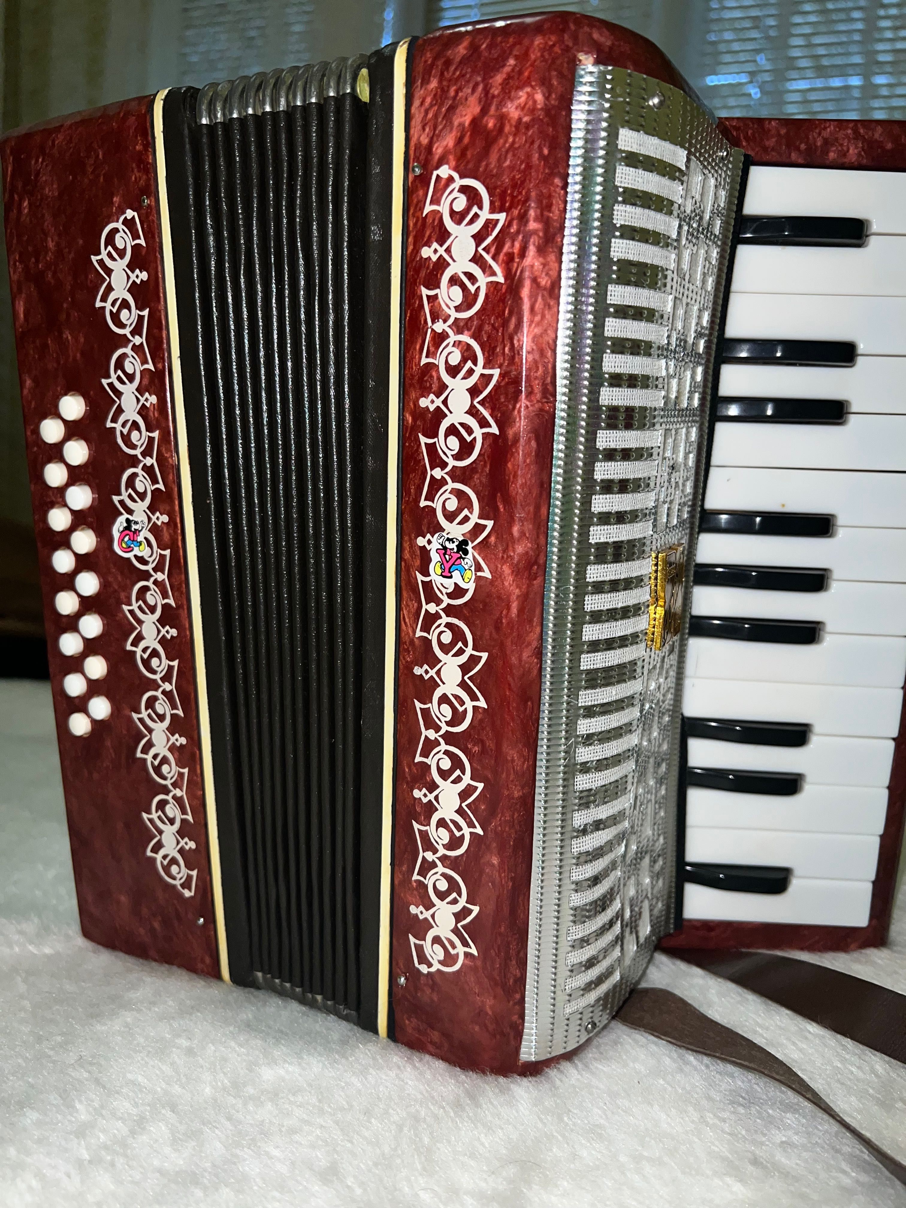Детски акордеон. гр. София Младост 1 • OLX.bg
