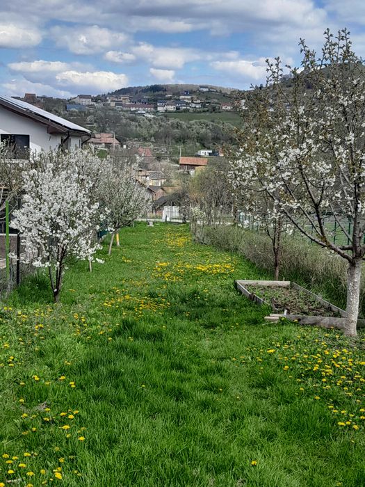Vand teren intravilan Salicea 300 metri patrati