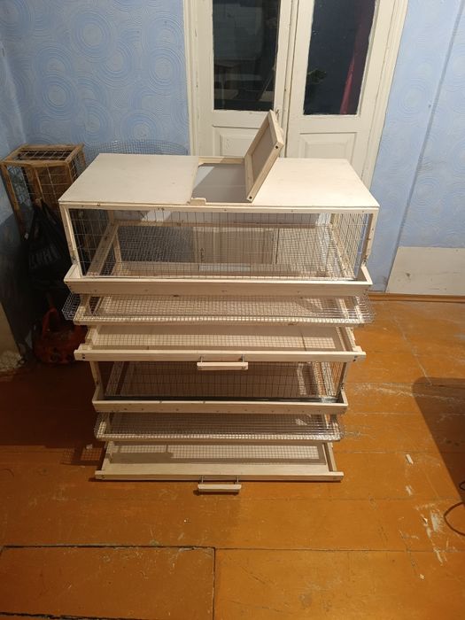 Клетки для перепелов несушек