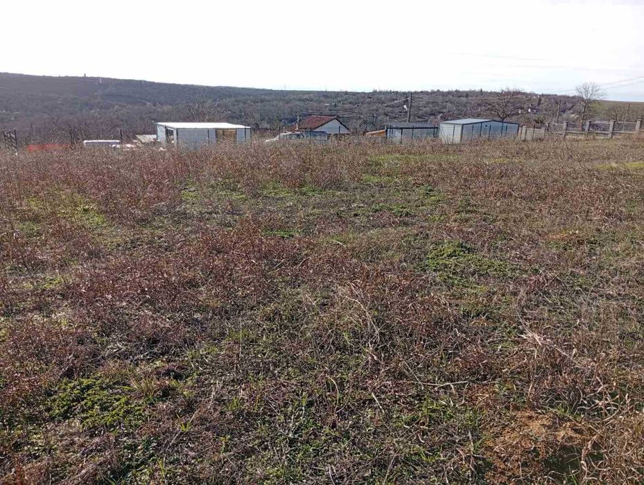 Продава се Парцел в Плевен, м-т Мъртва долина - 1772 кв.м за 11 €/кв.м - Снимка #2