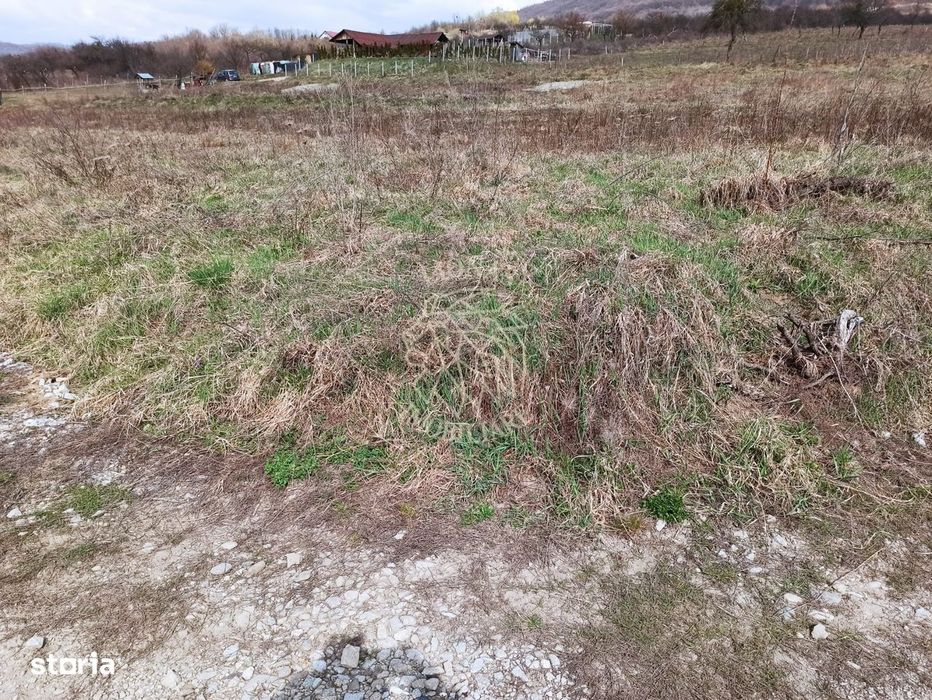Teren intravilan 500 mp-ideal casa-Zona Dr. Tarpiului