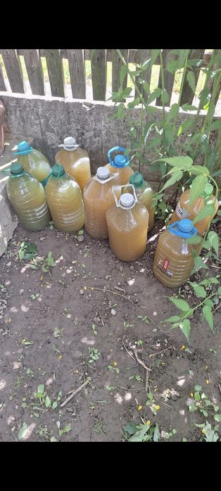 Macerat nediluat de urzici și tataneasa