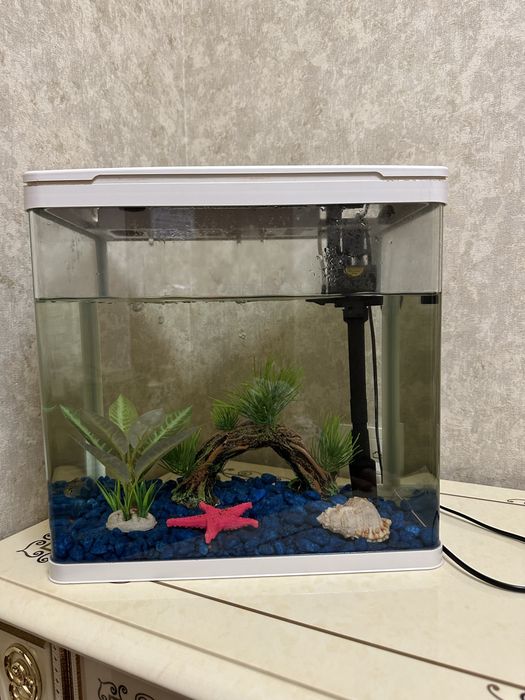 Akvarium sotiladi