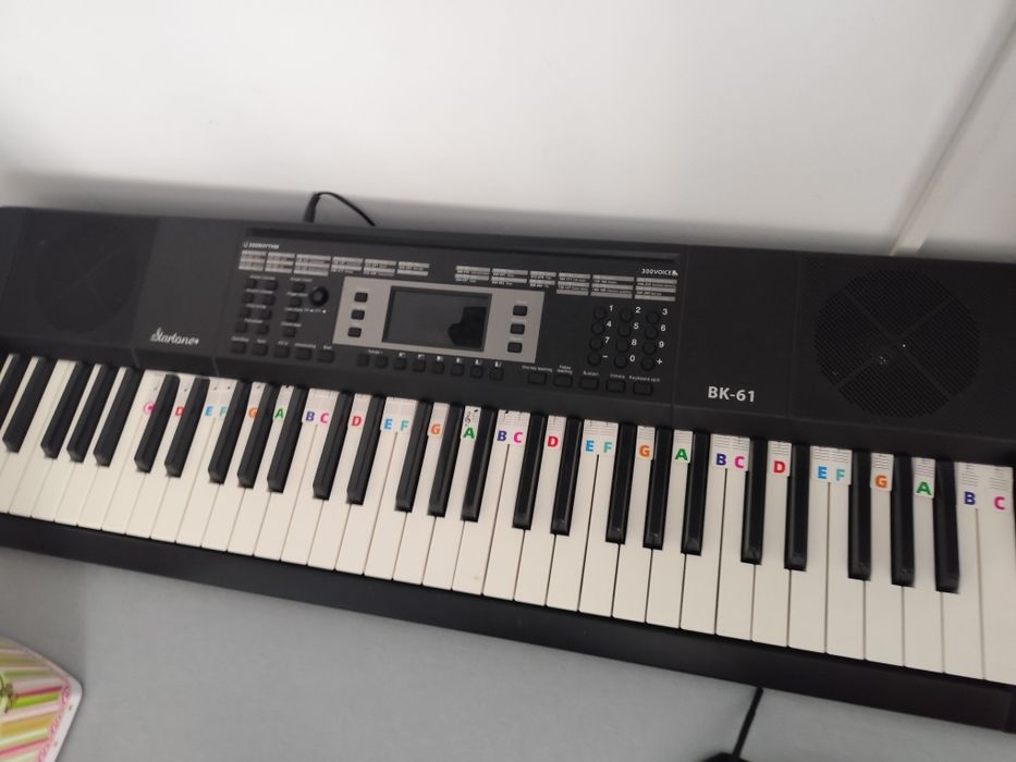 Vînd orga  bk-61