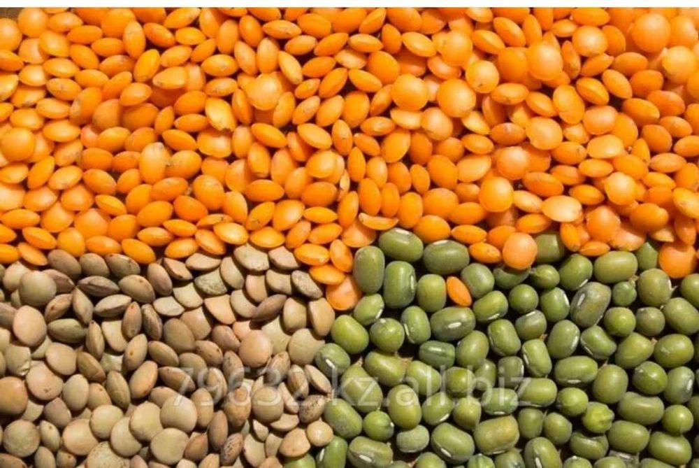 Кунжут Оқарадиган Покистон