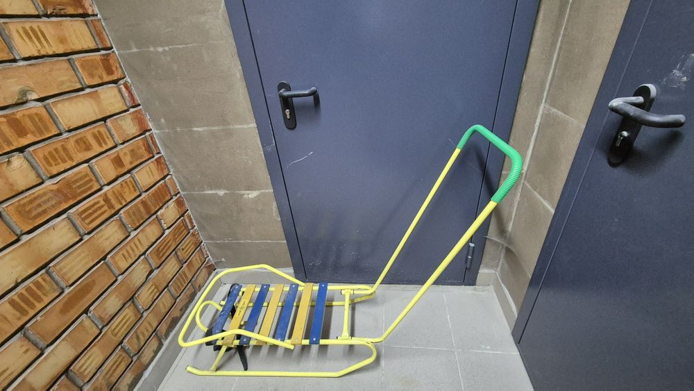 Санки с ручкой и спинкой