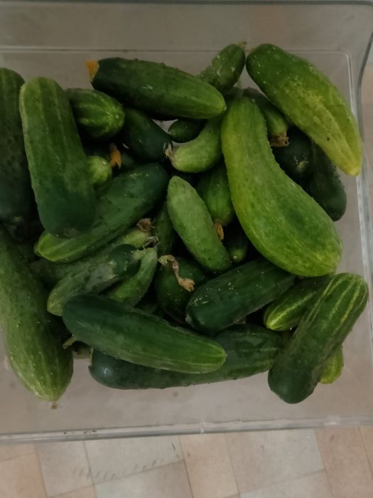 Продам всё домашнее