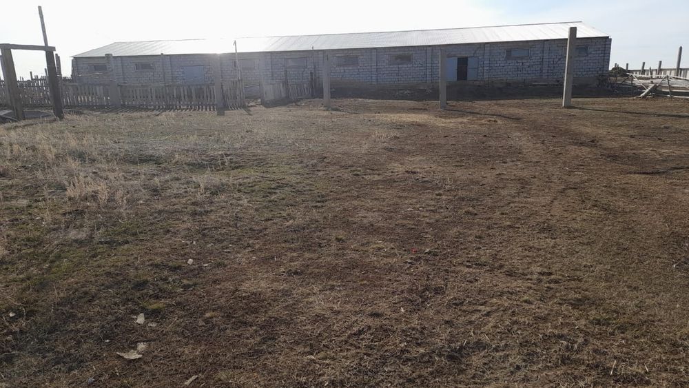 Продам хозяйство