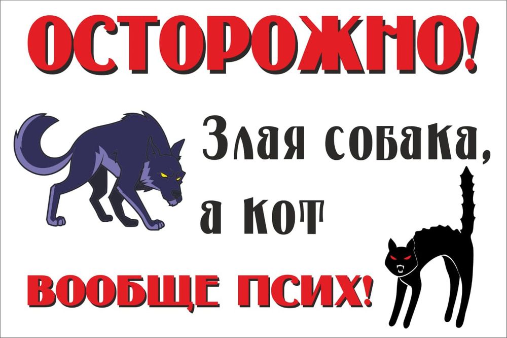 Даром!ищем котов и кошку!