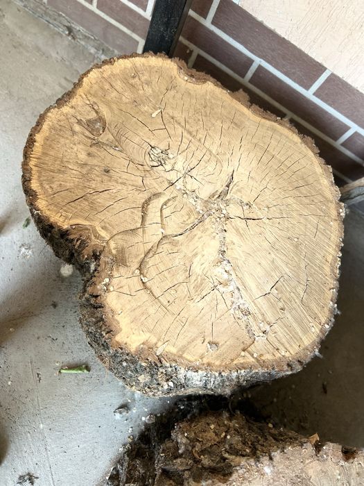 Два пенька для рубки мяса