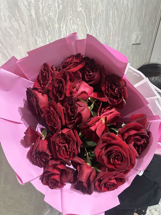 гүлдер 3000 мен 6000 арасында