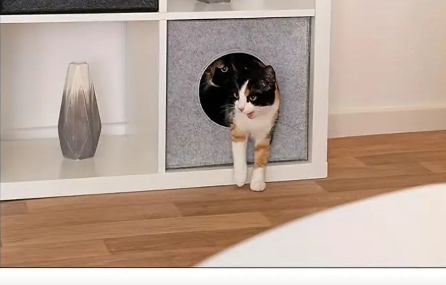 Pat pisica din fetru