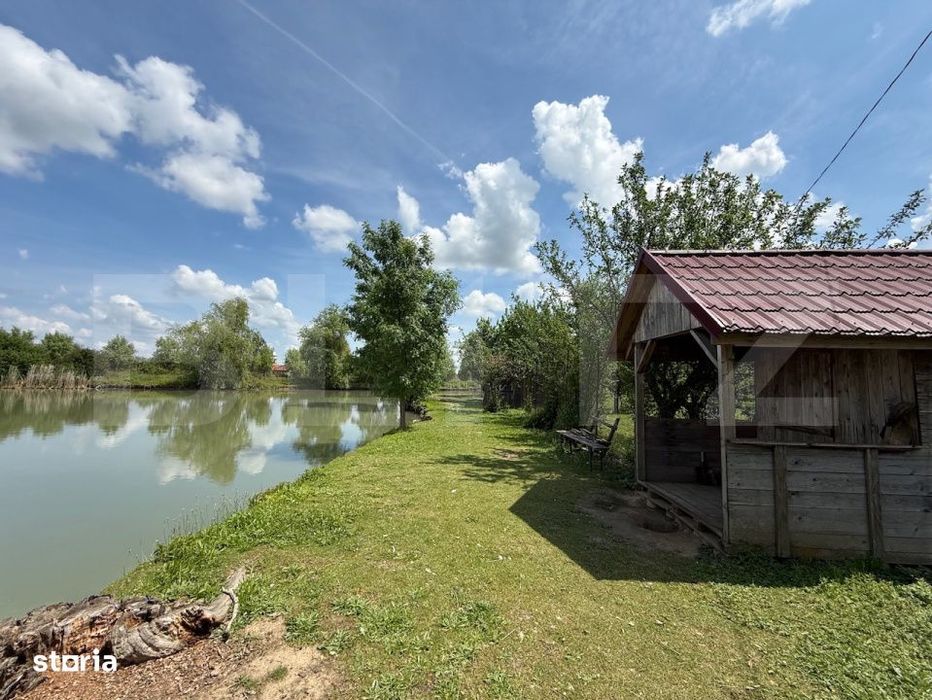 Teren cu livada si lac populat cu peste, 37.620 mp, zona Oar - Vetis