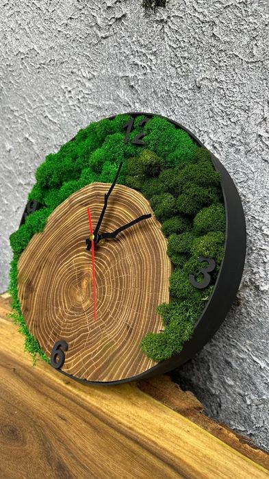 Продам часы из мха