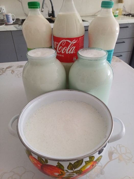 Ешкі сүті козье молоко