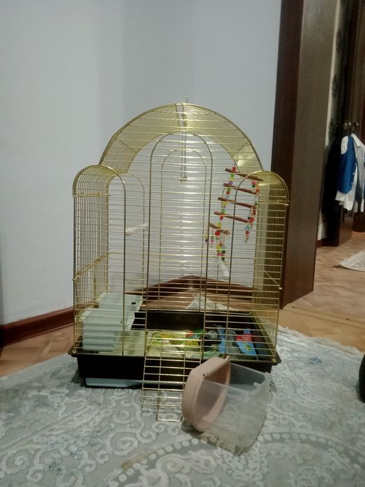 Клетка для папугая