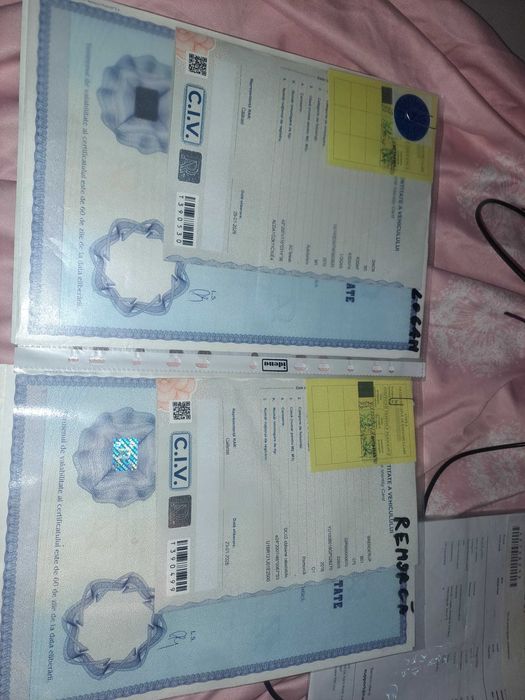 Logan MCV 1.6 8v 2010+remorcă 750kg