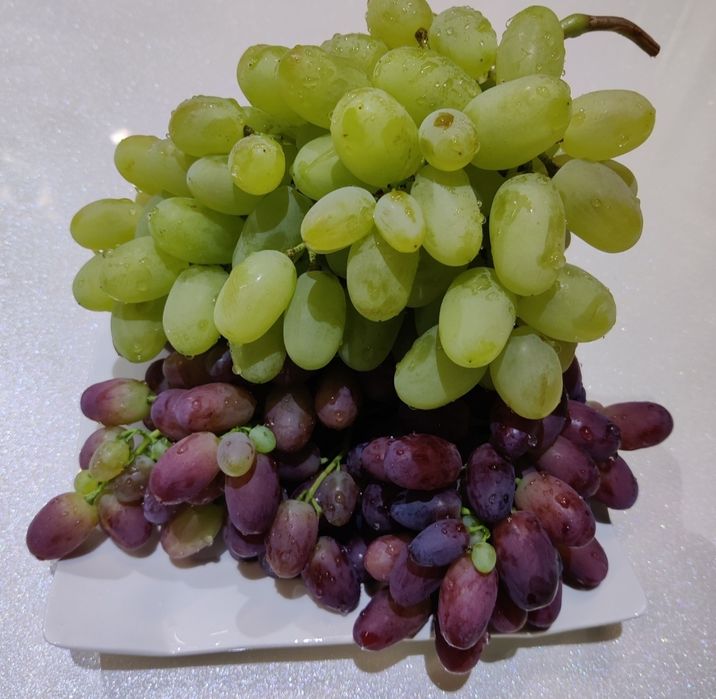 Саженцы винограда