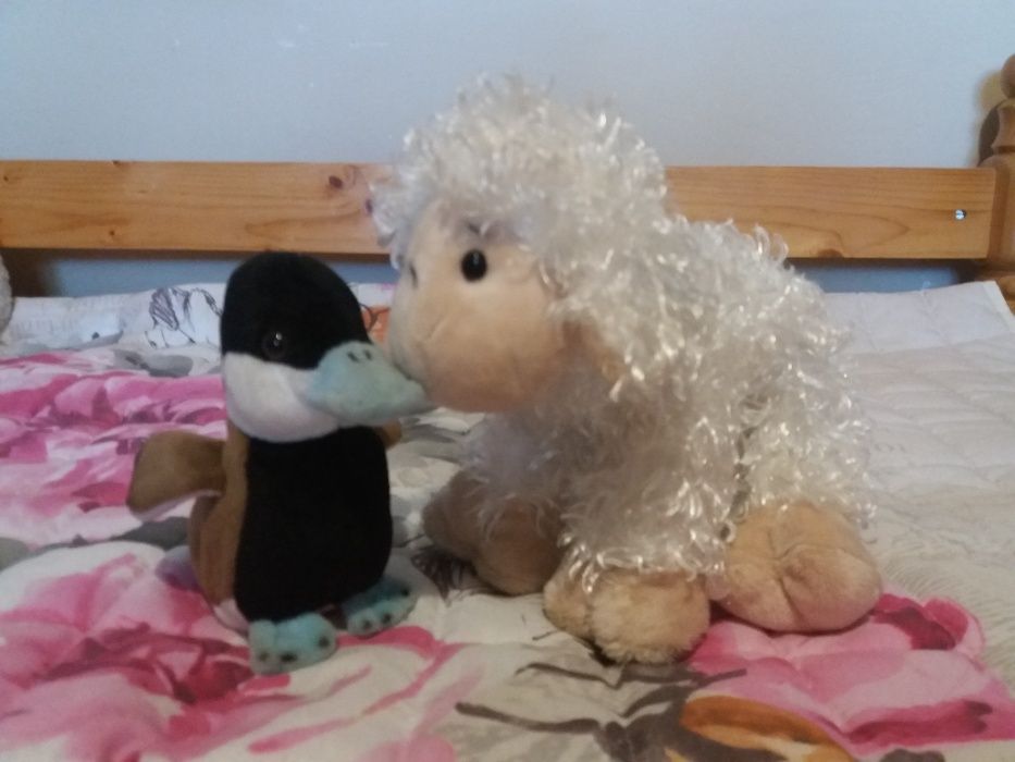 Animale plus diverse