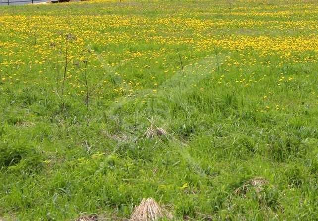 Парцел във Ведраре 89033