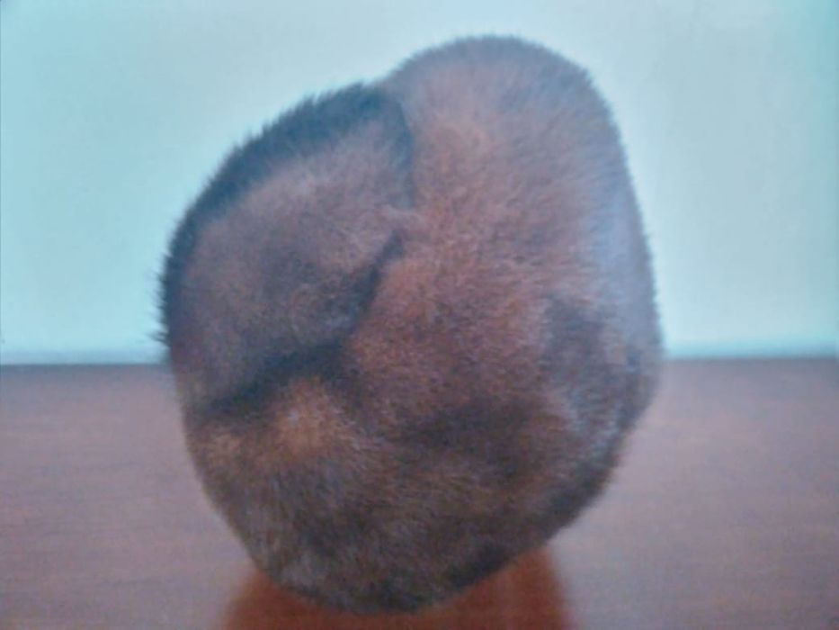 Норковая шапка. Рядом с Каргу.