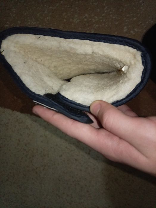 Qishgi itik sotiladi