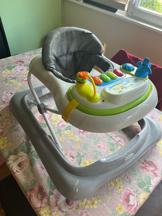 Проходилка и паяк