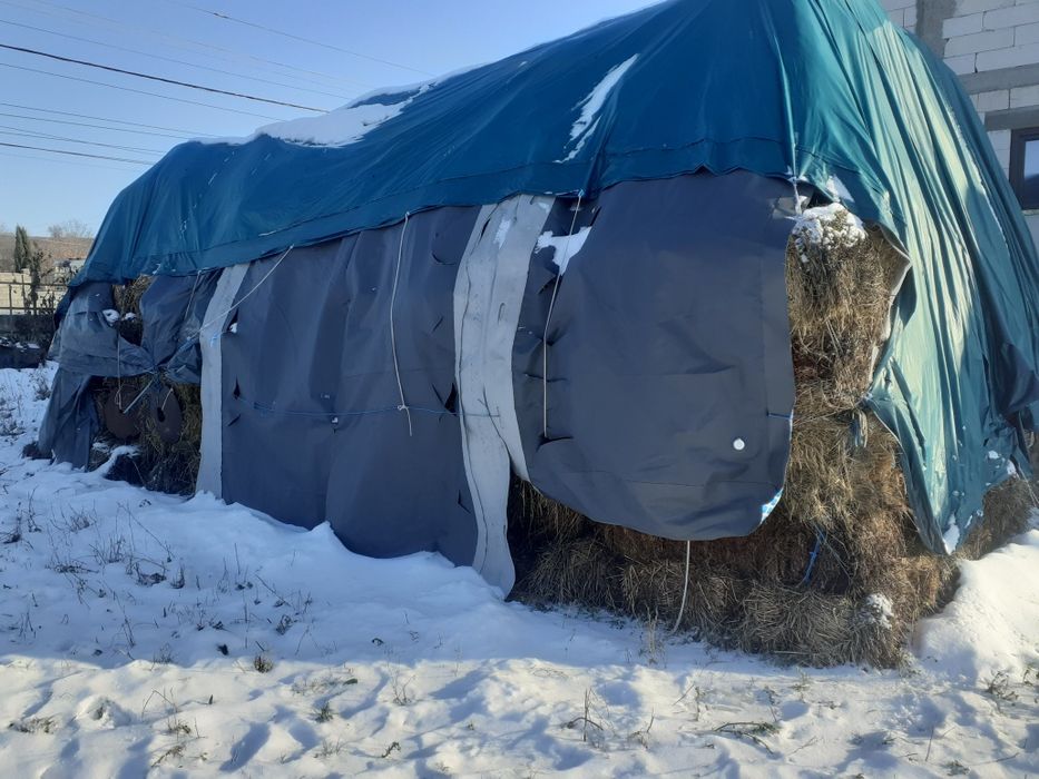 vand baloti fan ,ovaz