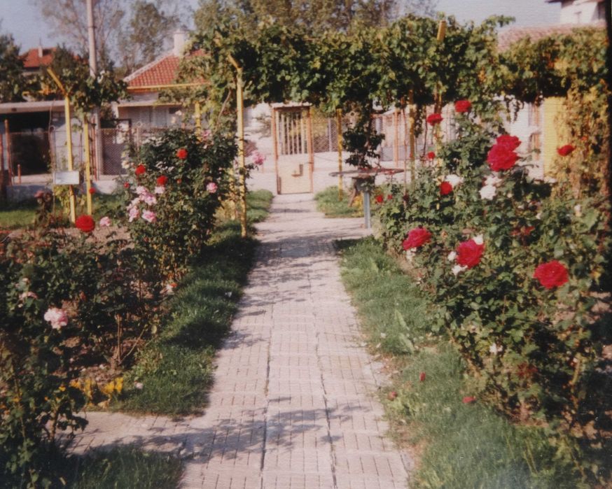 Продава се Къща в с. Разбойна, Област Търговище - 295 кв.м за 811 €/кв.м - Снимка #3