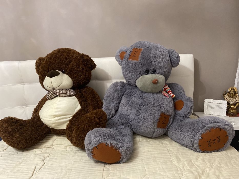 Медведи Teddy