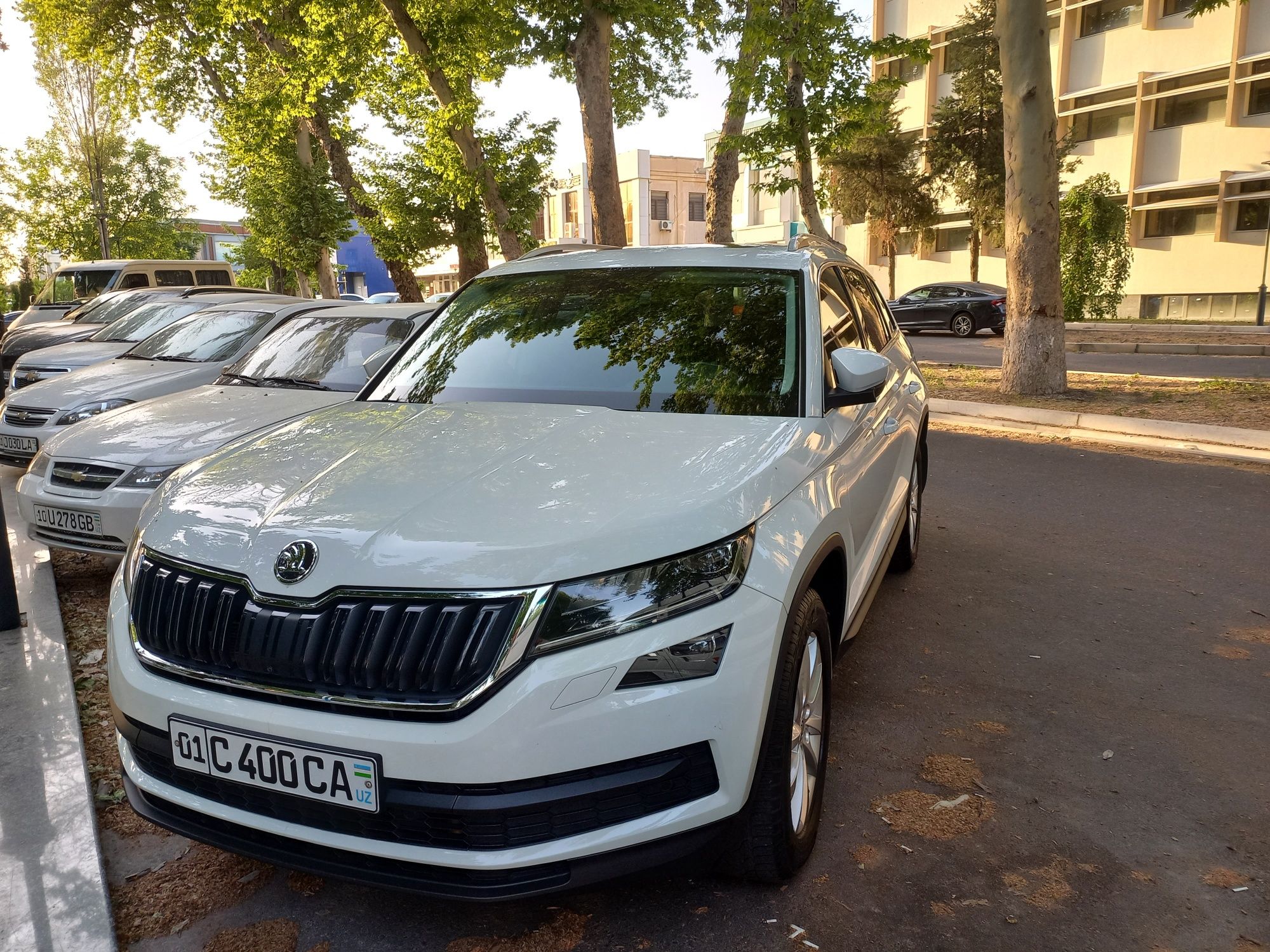 универсал - Skoda - OLX.uz