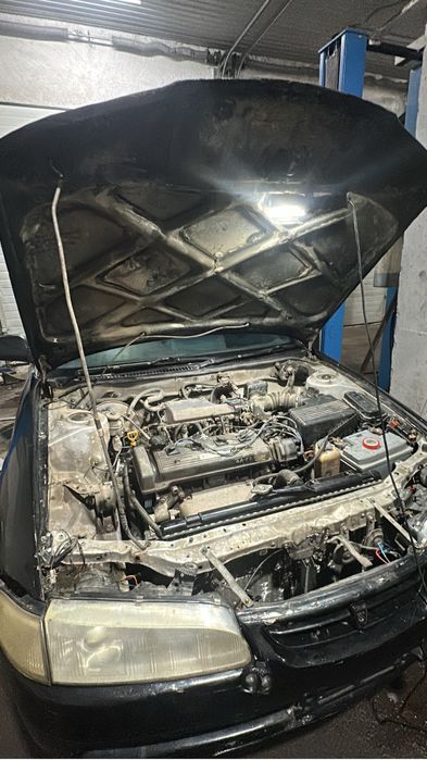 Tayota Sprinter Marino