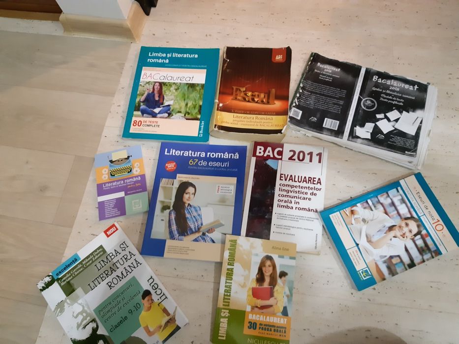 Meditații Limba Română