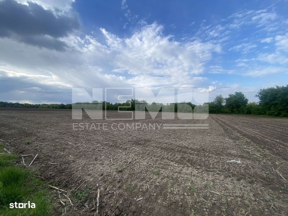 Teren Extravilan | 50 Ari | Horodnic De Jos