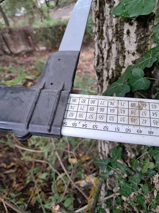 Продавам орехово дърво