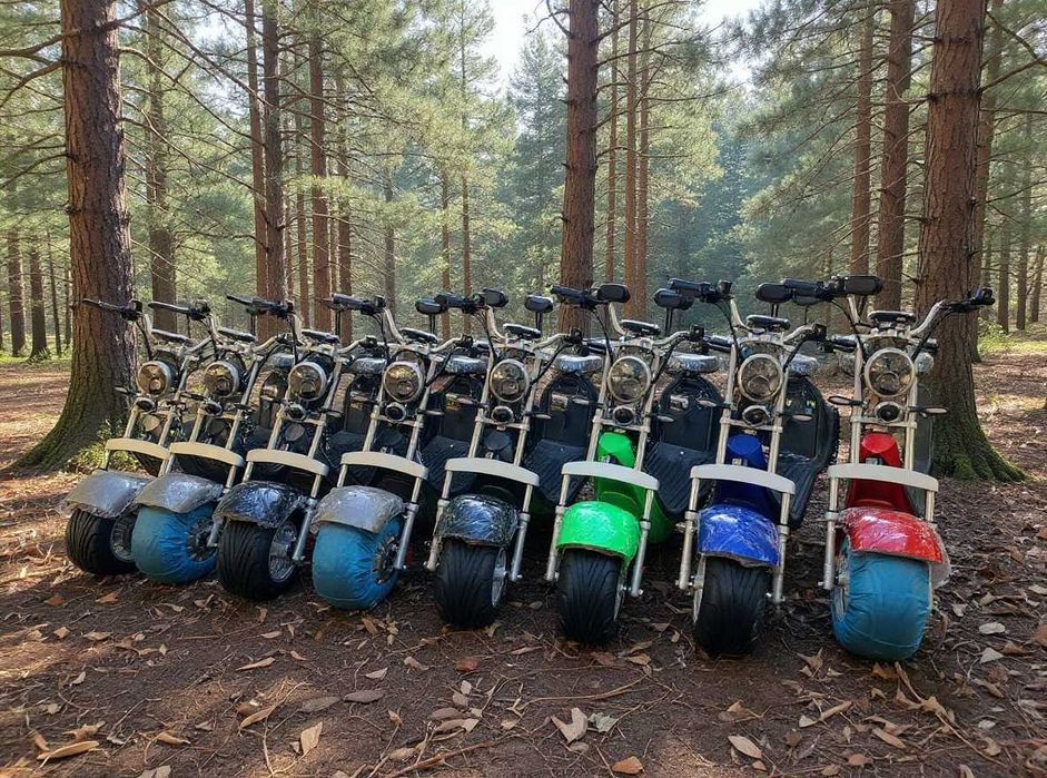 Scuter electric/Scuter Harley fără permis