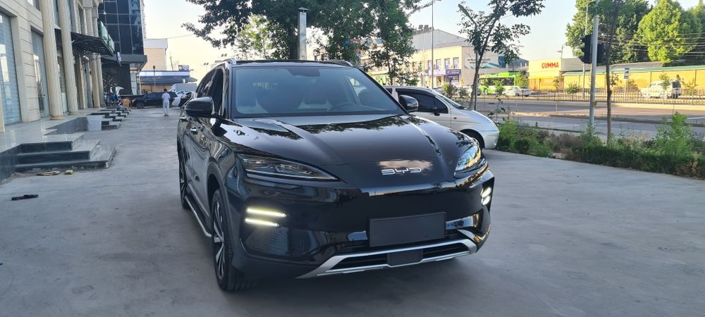 BYD Chempion кора