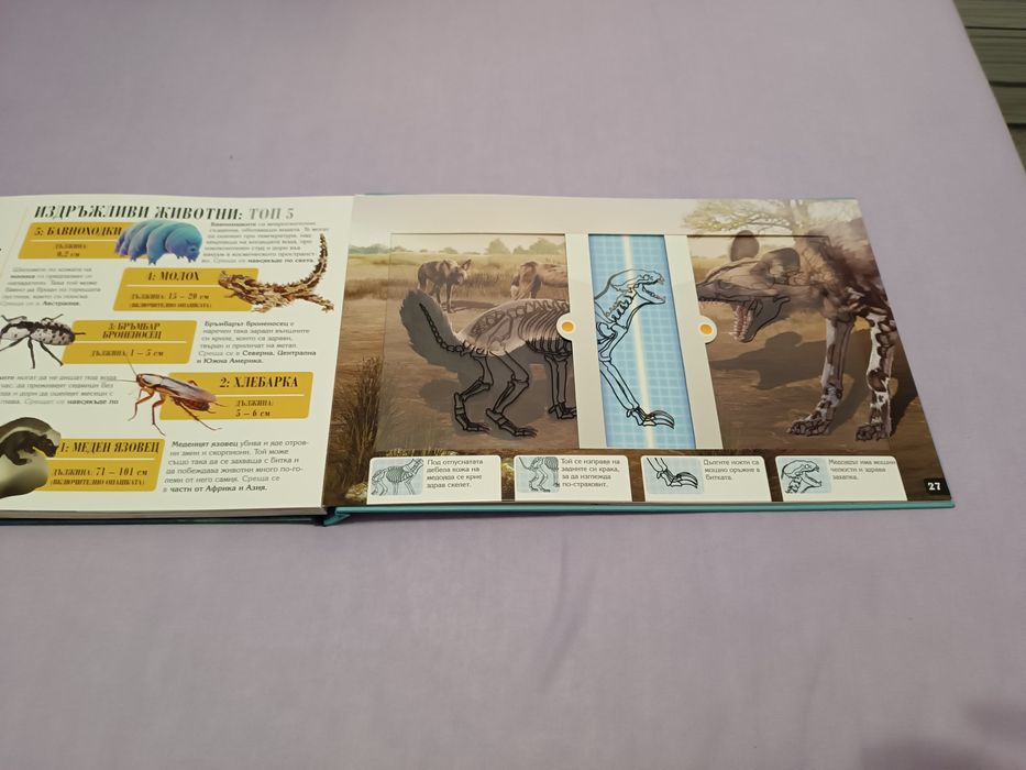 Енциклопедия за животни