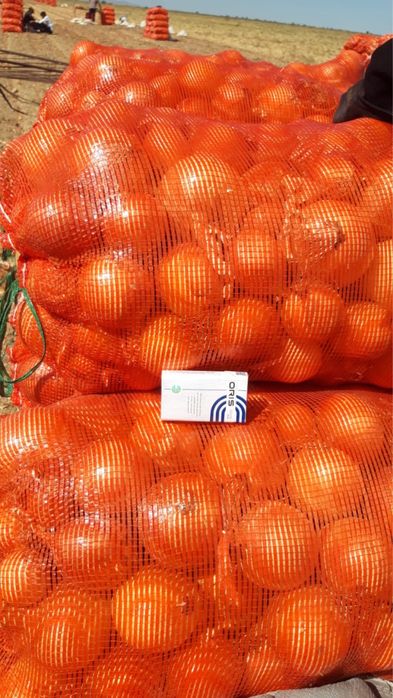 Лук репчатый в мешках