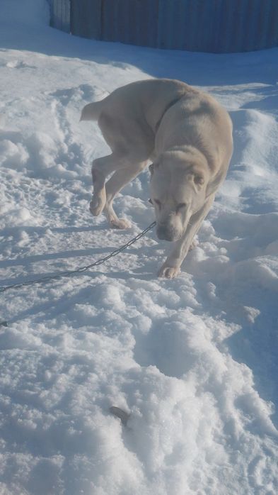 Продам срочно!!!