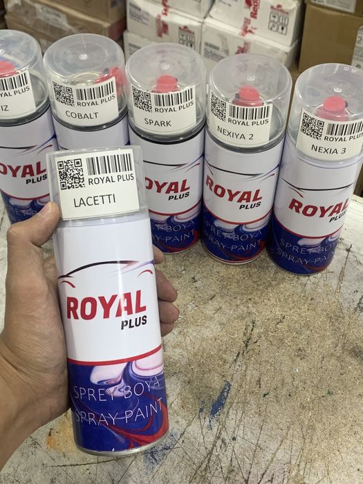 Краска Royal Plus для пластиковых деталей салона автомобиля