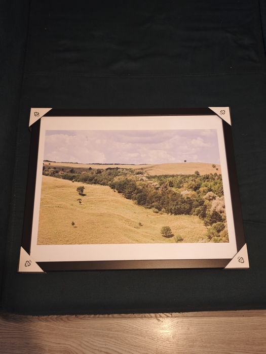 Tablou natura 50x40
