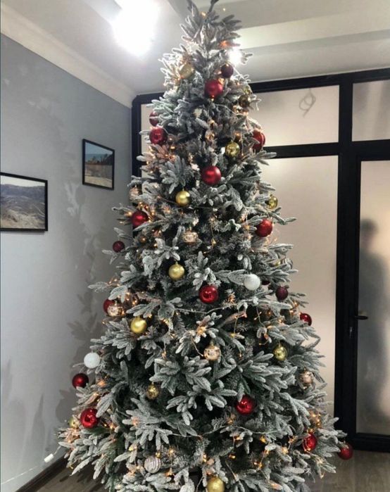 Ёлки северные заснеженные