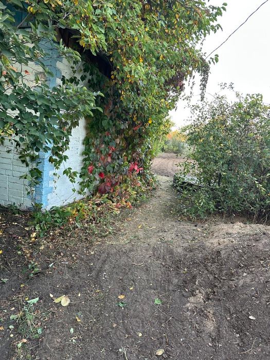 Продам дачу в обществе «Энергетик», село Белое.