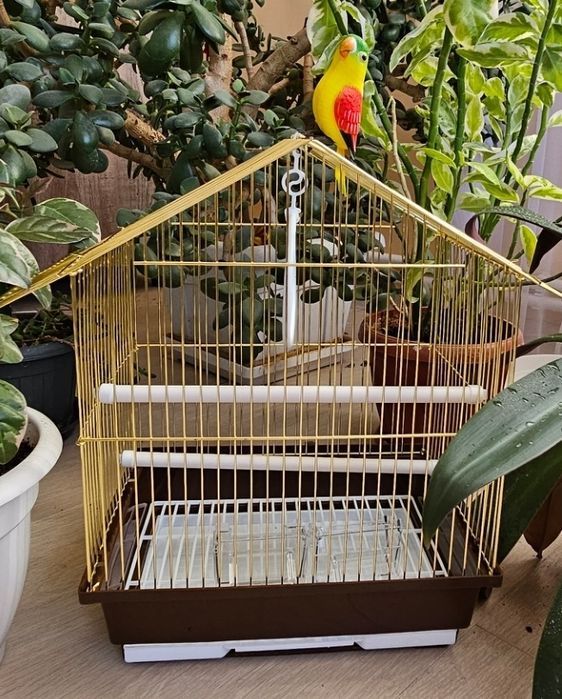 Клетки для питомцев