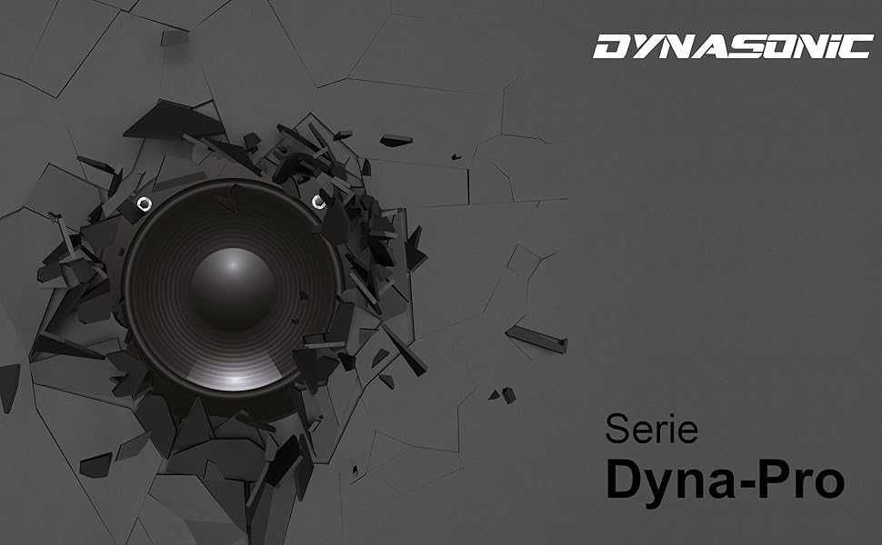DYNASONIC Dynapro 12 Преносима активна тонколона