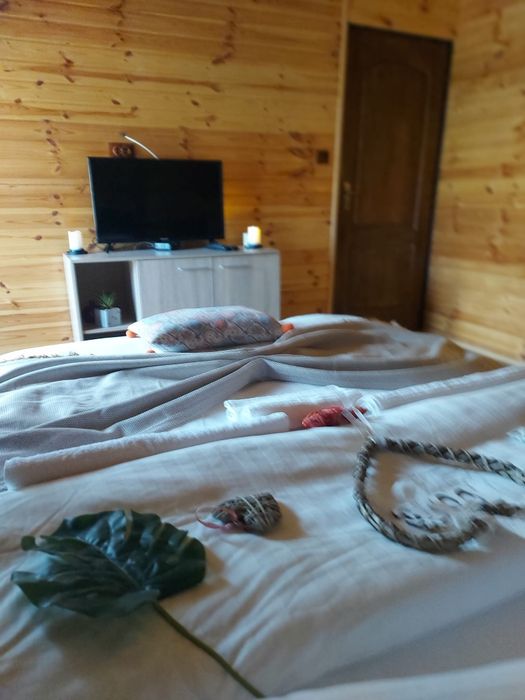 Cabana in mijlocul naturii